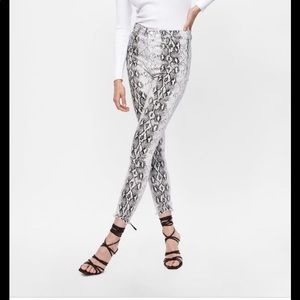 Zara Premium High Waist Snake Print
